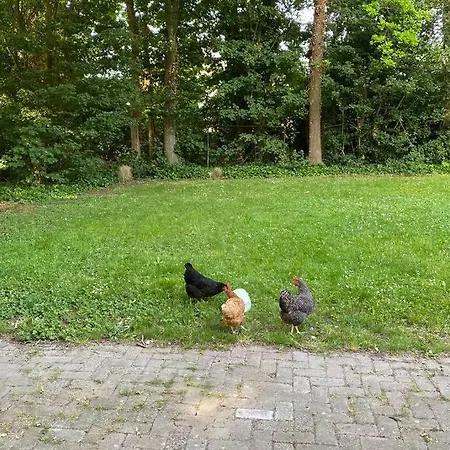 Vakantiehuis De Zeeuwse Schuur in de Zak van Zuid-Beveland Heinkenszand Buitenkant foto
