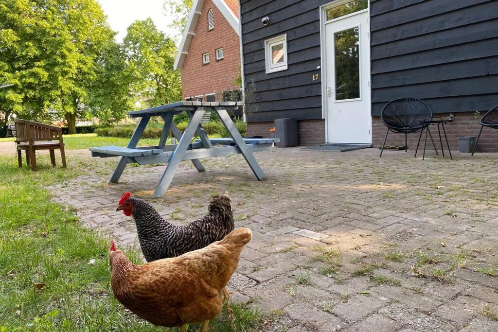 De Zeeuwse Schuur In De Zak Zuid-beveland Hébergement de vacances *