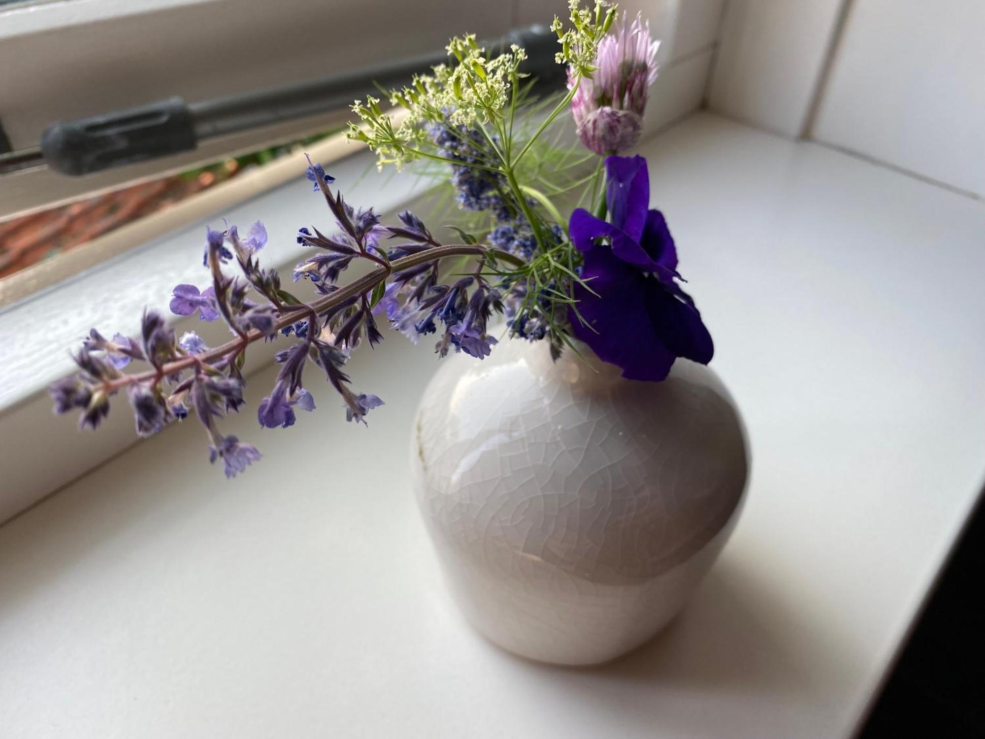 De Zeeuwse Schuur In De Zak Zuid-beveland Holiday home *